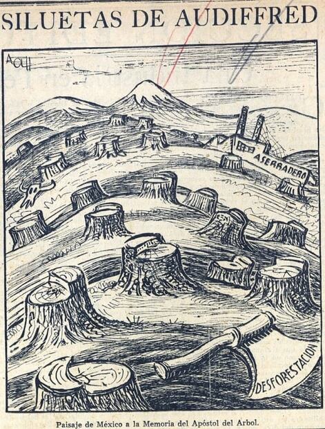 Miguel Ángel de Quevedo, el legendario defensor de árboles desde el Porfiriato