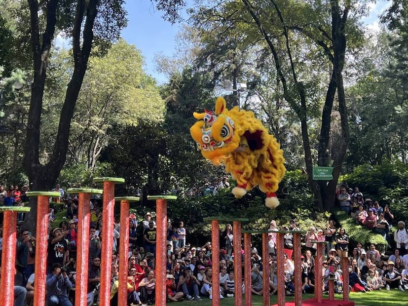 Foto: Facebook "Centro Nacional de las Artes México"