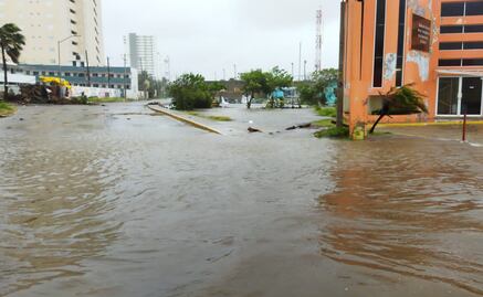 Huracán “Pamela” deja árboles caídos y sin servicio eléctrico a 4 municipios de Sinaloa