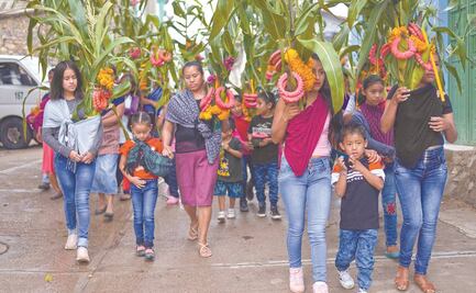 Covid-19 no frena el baile tradicional a la milpa