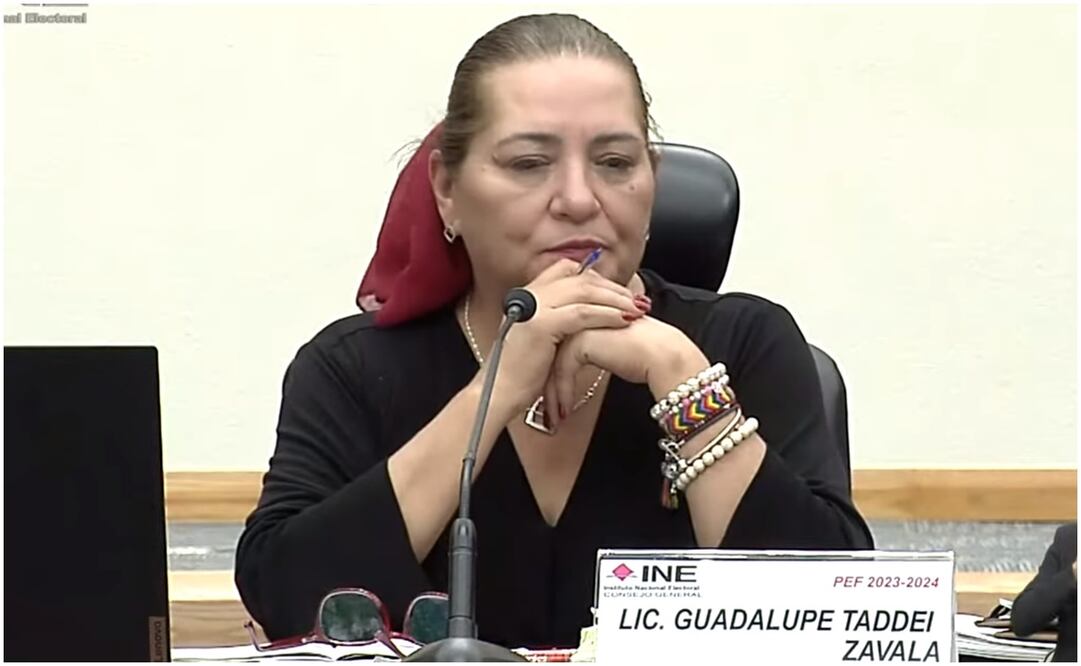 Guadalupe Taddei. Foto: Recorte de pantalla INE