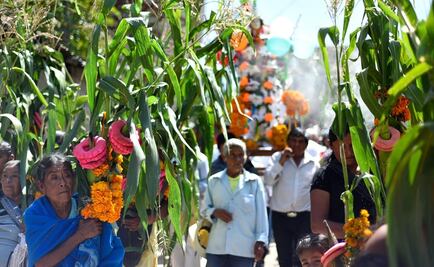 Maíz: alimento básico y fundamento de identidad de Mesoamérica