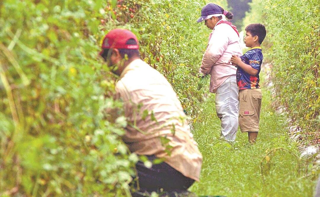 El programa Infonavit Sin Fronteras ha permitido a más de 7 mil migrantes en EU pagar su hipoteca. Foto: ARCHIVO EL UNIVERSAL