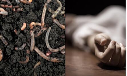 "Me caían los gusanos": autoridades tardaron dos años en encontrar un cadáver en edificio