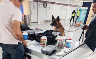 Decomisan casi 7 mil pastillas de hidrocodona en el AICM; venta está prohibida en México