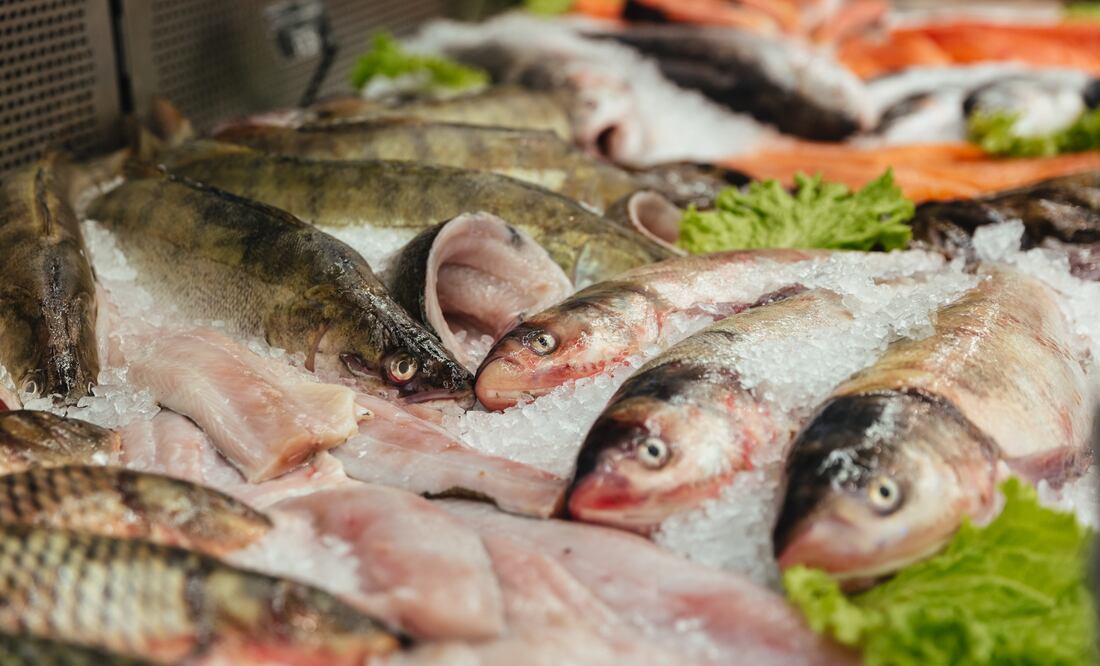 Organizaciones ambientalistas alertan de la venta de pescado ilegal. Foto: Freepik