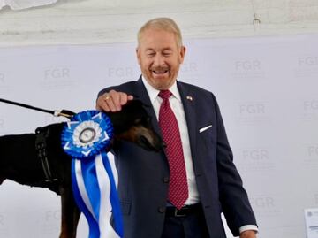 Se jubilan héroes de cuatro patas que detectaron hasta 50 mil pastillas de fentanilo; EU ha donado 269 perros para seguridad: Johnson