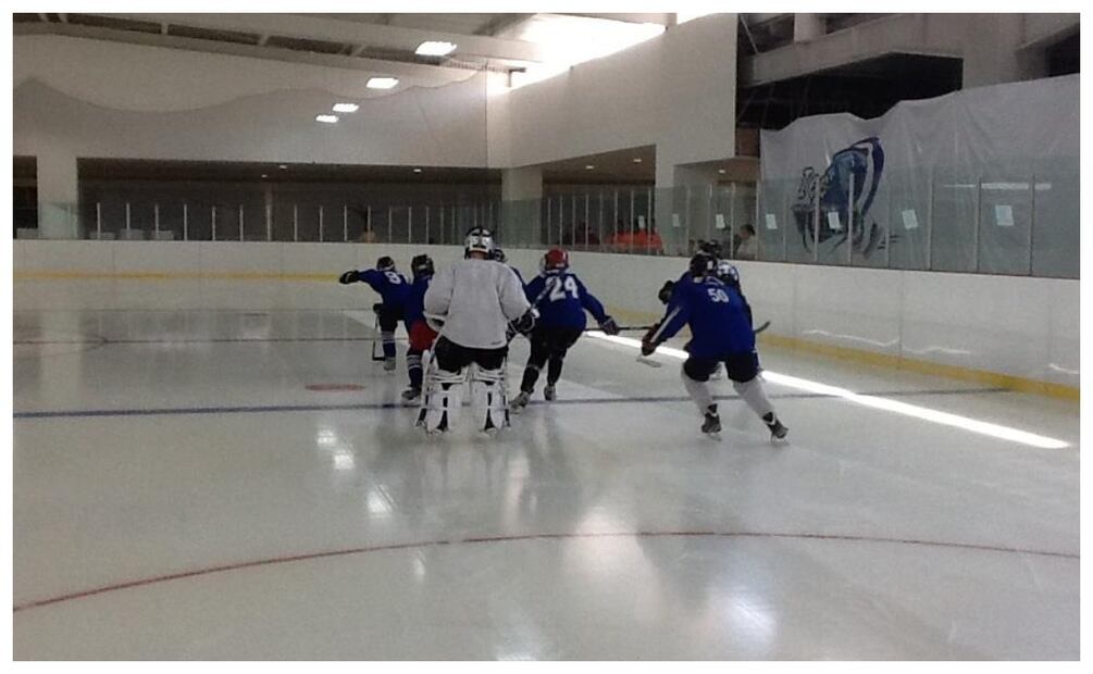 Imagen: Pista de hielo Ice Station México