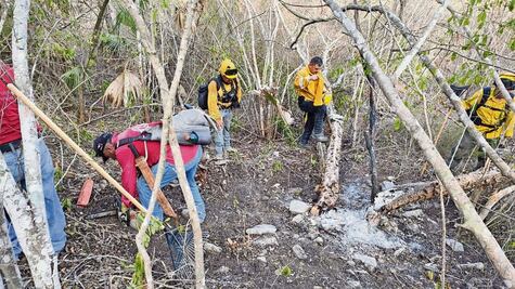 Suma entidad 11 mil hectáreas dañadas por fuego