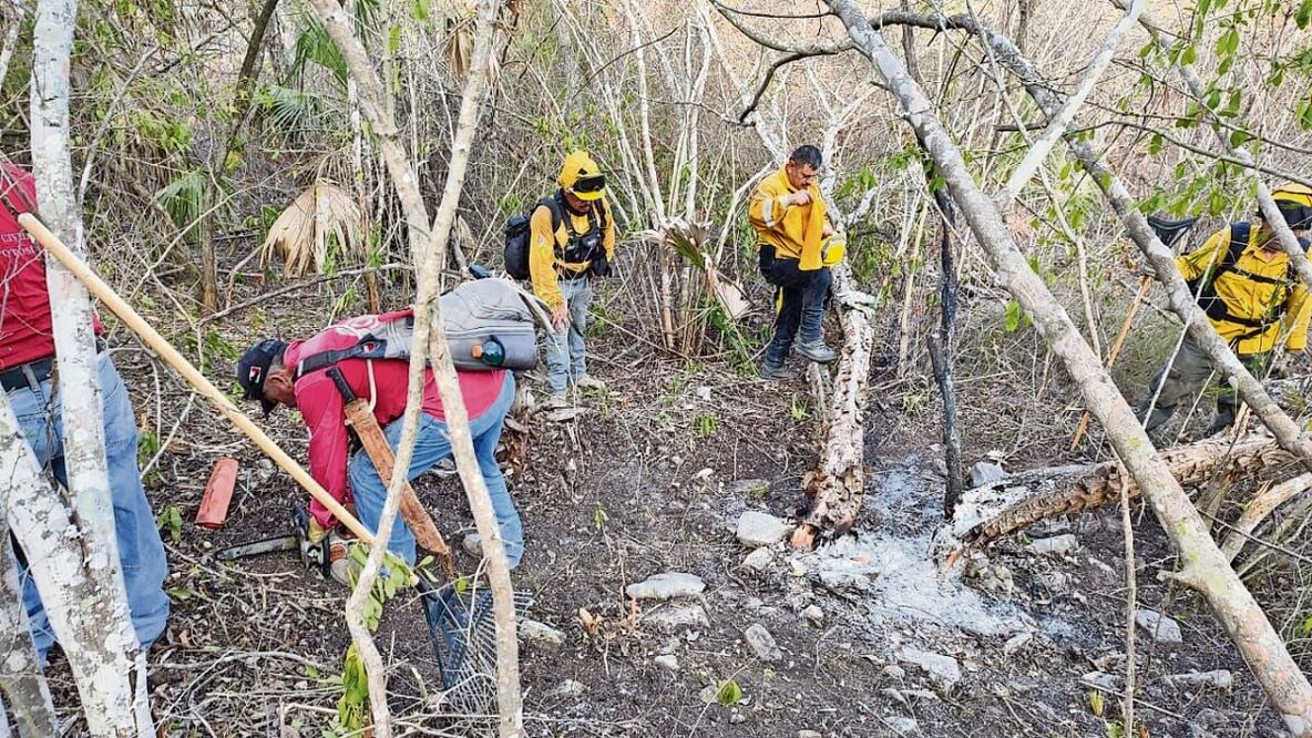 Participan 100 brigadistas con el apoyo de tres ae- ronaves; hasta ahora se han con- sumido 480 ha. Foto Especial