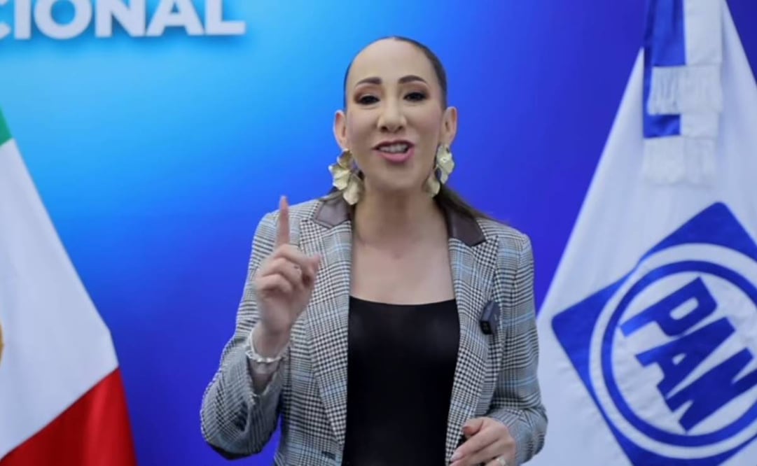 Noemí Berenice Luna Ayala, diputada del PAN. Foto: Captura de pantalla