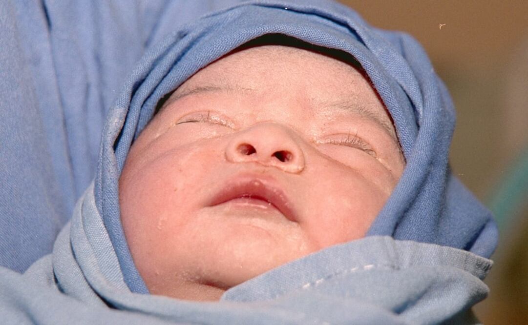 Los hijos concebidos a través del trasplante de embriones congelados tienen mayor riesgo de mortalidad perinatal. (FOTO: Archivo/EL UNIVERSAL)