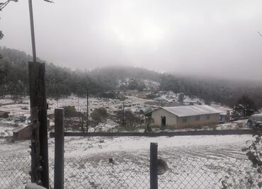 Nieve pinta de blanco 13 municipios de Durango; suspenden clases