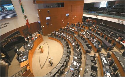 El big brother fiscal pasa al pleno del Senado a discusión