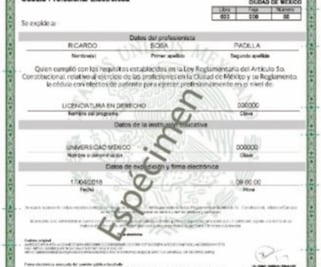 Emite SEP 93 mil 47 cédulas profesionales     