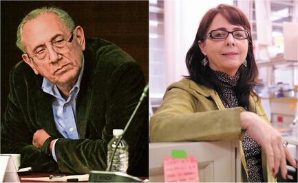 ¿Romero Tellaeche y Álvarez-Buylla cometieron perjurio?