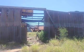 Colectivo localiza nuevo campo de extermino en Miguel Alemán, Tamaulipas; hallan siete osamentas completas y diversas prendas de vestir