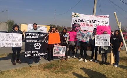 Vinculan a proceso a hombre por violar a perrita “Mati”