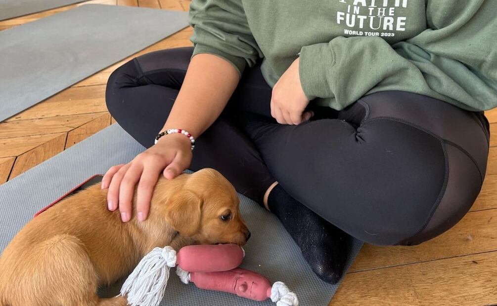 Foto: Instagram (@puppy_yoga_madrid)