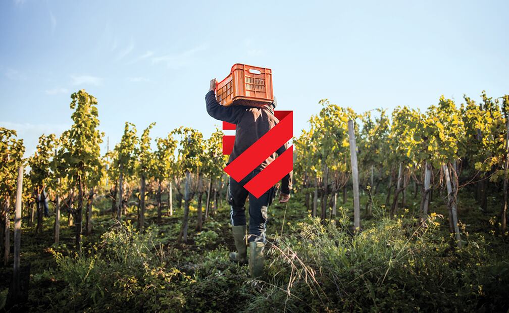 Foto cortesía: Canadian Centre To End Human Trafficking