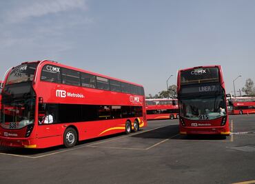 Descartan que Línea 7 del Metrobús ocasione daños al medio ambiente