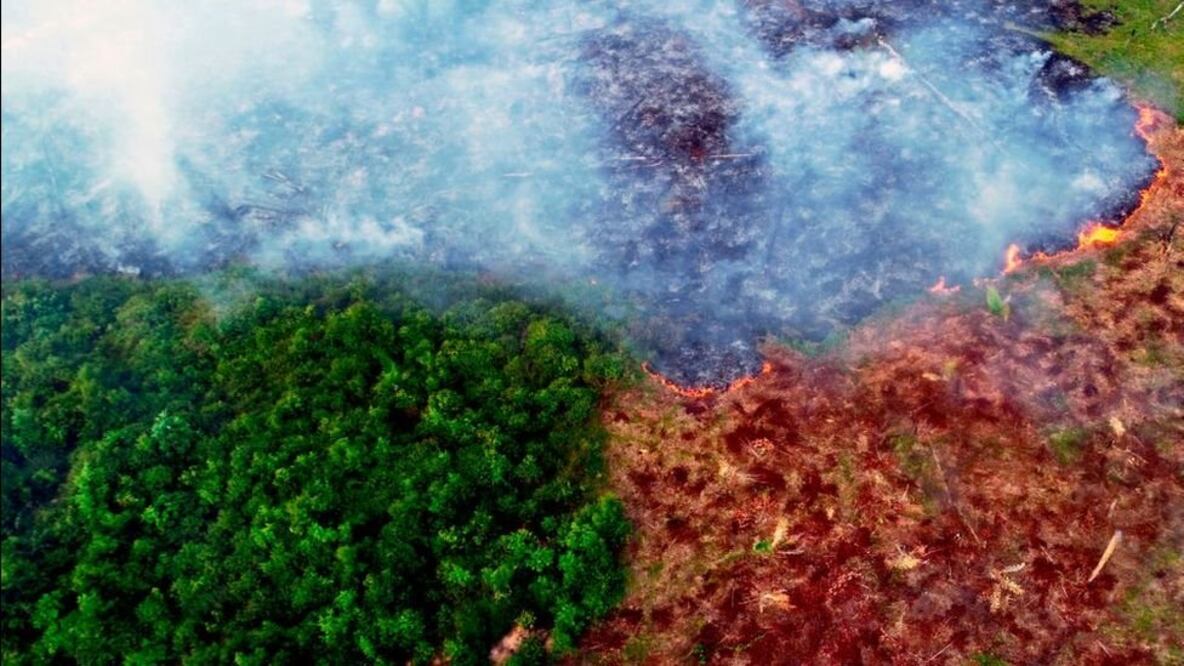Selva amazónica y deforestación, Foto: Getty Images, vía BBC