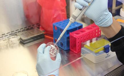 Estudio indica que los antibióticos podrían ayudar a bloquear la metástasis del cáncer