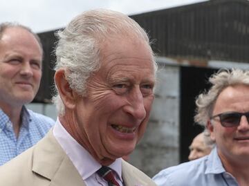 Descubre con qué miembro de la realeza hizo las paces el rey Carlos III y no es su hijo Harry