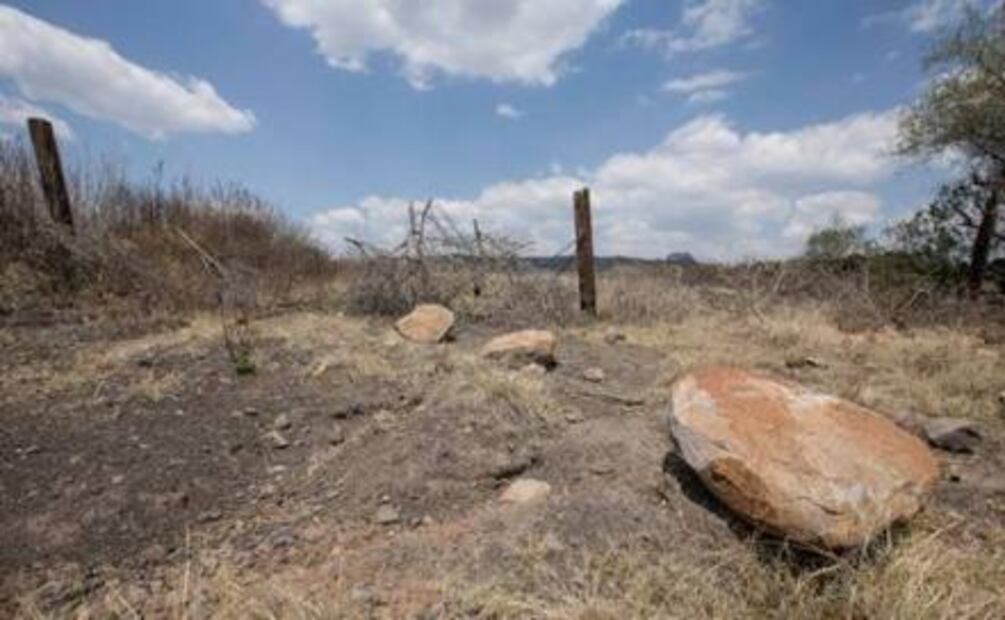 Serpientes, fieles guardianes del sitio arqueológico de Angamuco