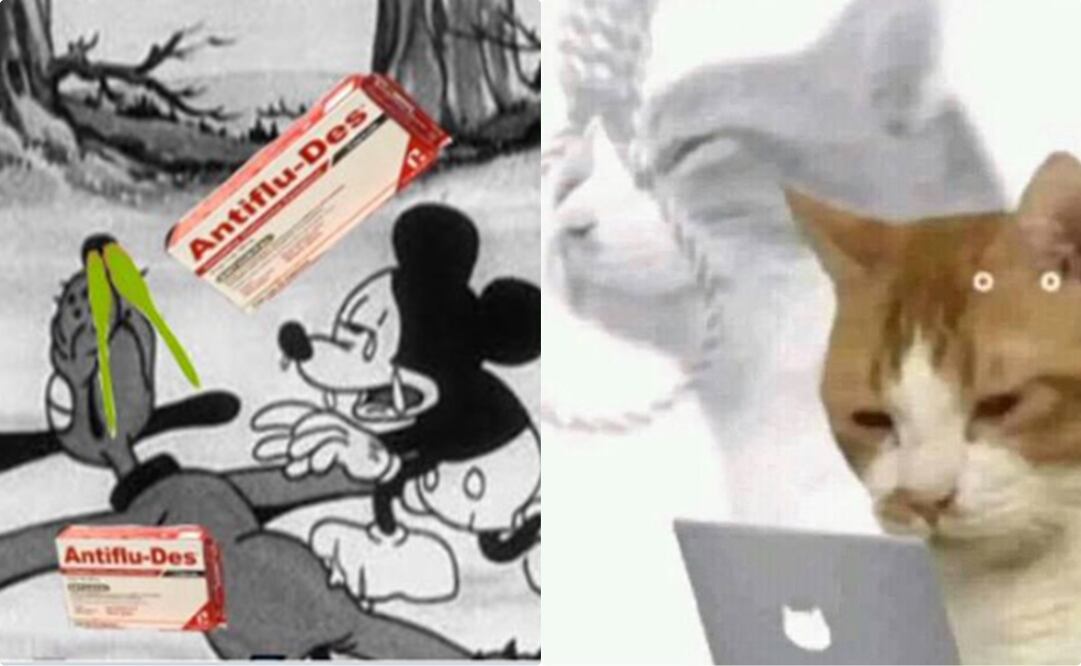 Memes Antiflu-Des. Foto: Captura de pantalla