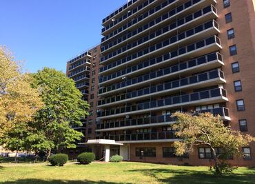 Anciana afroamericana muere abatida por policía en NY