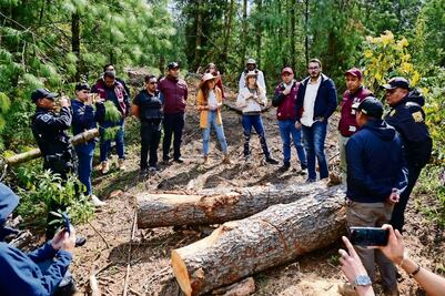Sedema recupera 2 millones de m2 de Suelo Verde