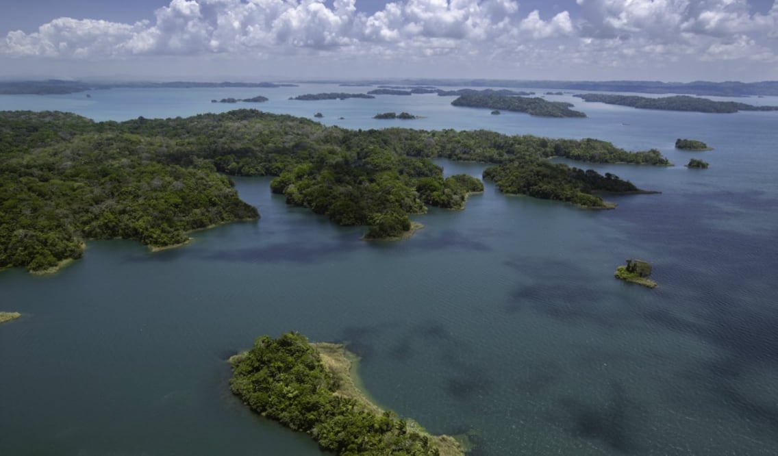 Foto: Istock/Archivo