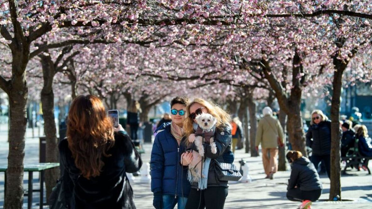La población sueca aún cuenta con posibilidades que muchos países europeos han prohibido. Foto: Getty Images
