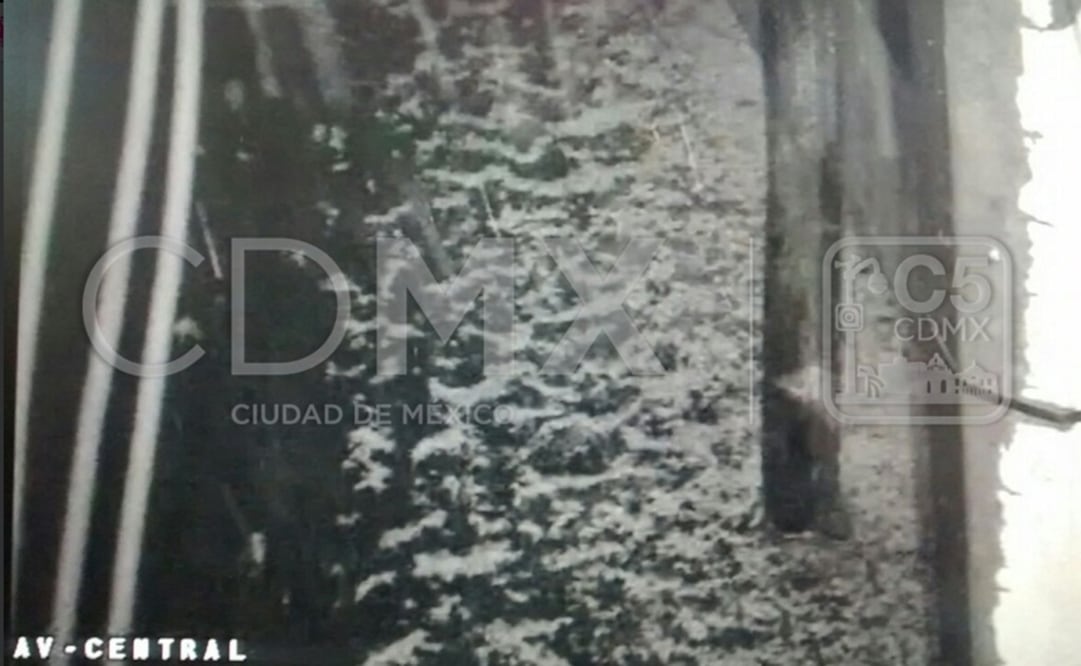 (Foto: Twitter @C5_CDMX)