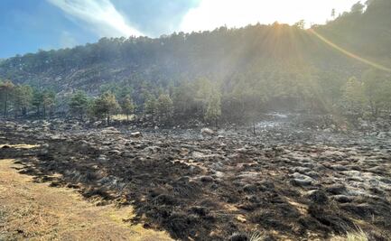 Incendio forestal arrasa con 275 hectáreas del Parque Nacional Lagunas de Zempoala en Morelos