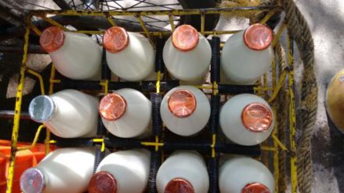 El lechero entraba, literal... hasta la cocina