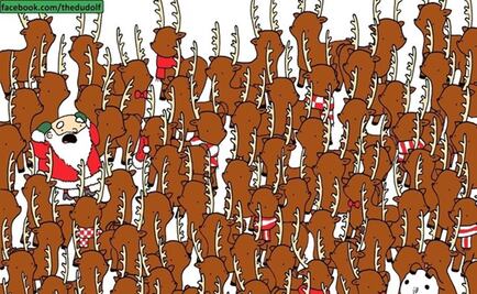 Reto Viral. Encuentra al oso entre todos estos renos