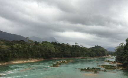 Hallan cuerpo de pintor desaparecido en selva chiapaneca