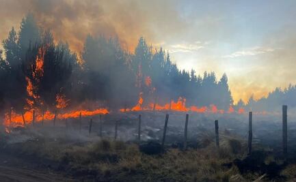Cinco incendios sofocan Quito, capital de Ecuador; hay seis heridos