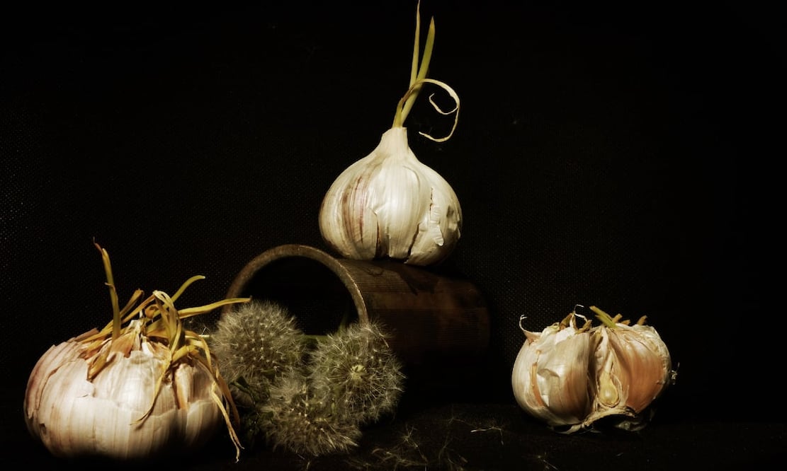 Al ajo le brota un tallo verde cuando está viejo. Foto: Miroslavik / Pixabay