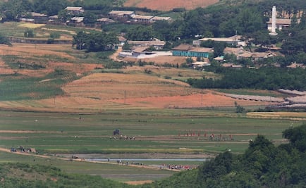 ONG localiza patíbulos y fosas comunes en Corea del Norte