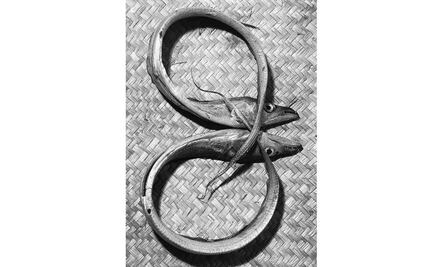 Reconocen labor del fotógrafo Julio Galindo