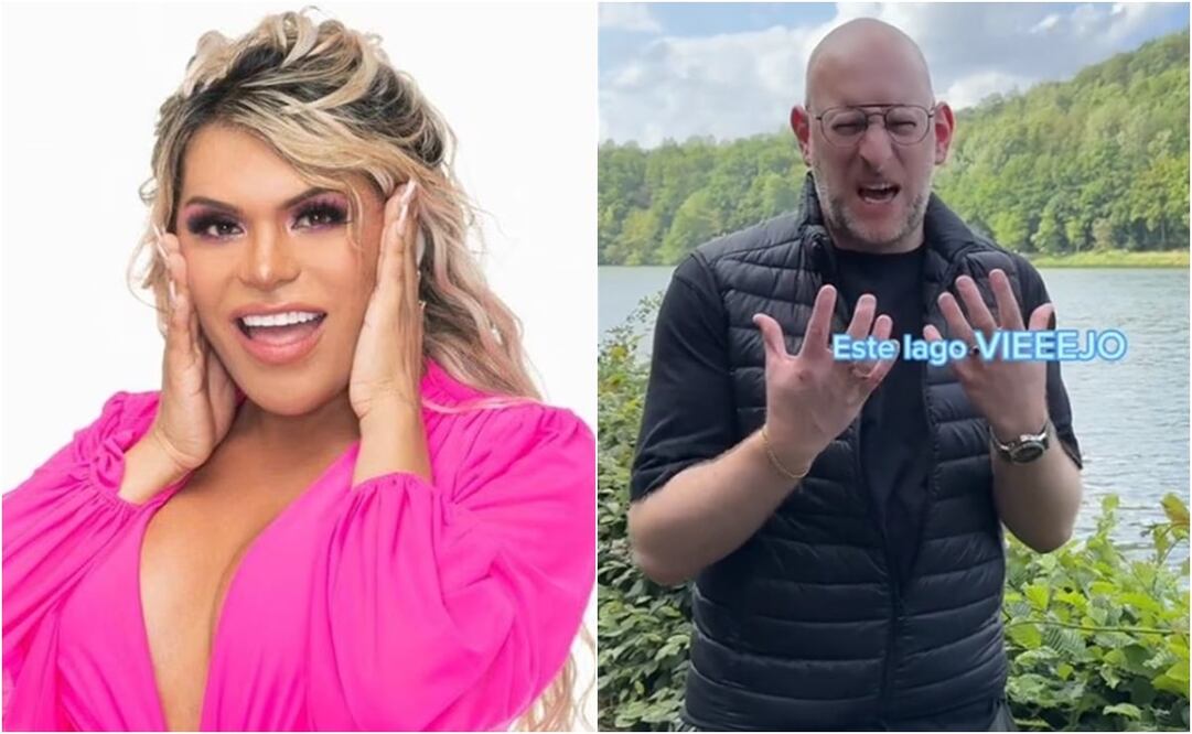 Los videos ya cuentan con miles de reproducciones en la red social. Foto: TikTok