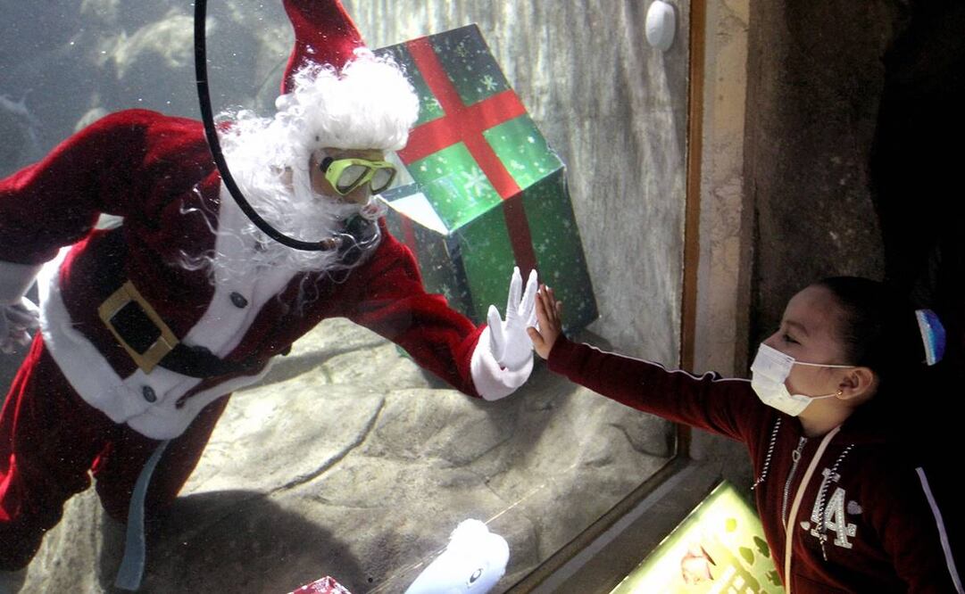Este Santa Claus sorprende a los visitantes al aparecer dentro del estanque del zoológico. Foto: Ulises Ruiz/ AFP.