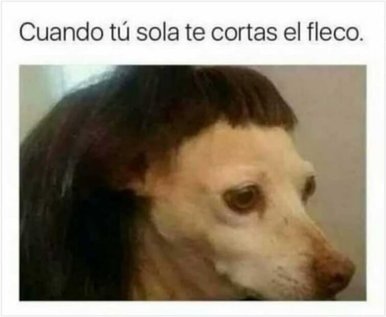 Cambiarse el cabello en la cuarentena, una forma de autodefensa