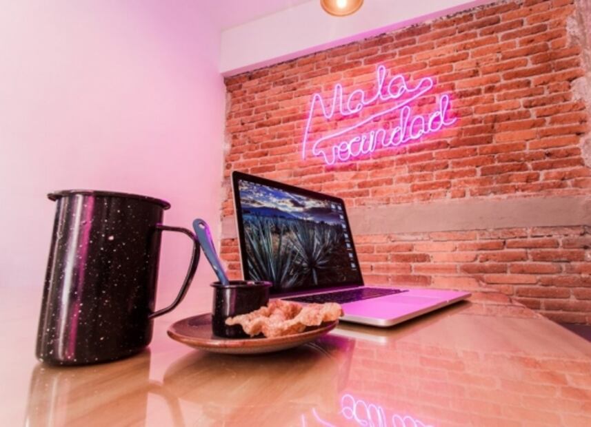 Mala Vecindad: el hotel con terraza dedicado a la cerveza artesanal en CDMX