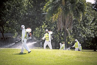 Brasil y EU buscan vacuna contra el zika