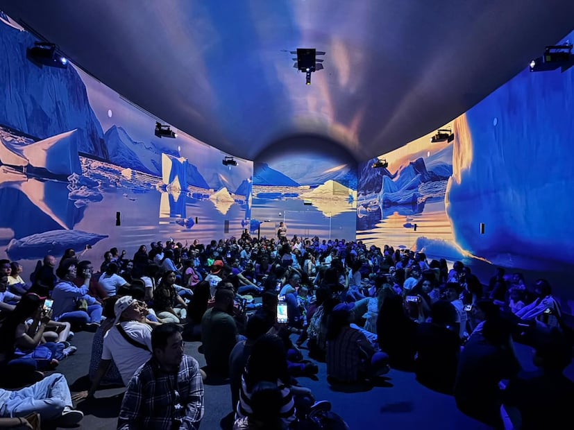 Un espacio para que chicos y grandes conozcan más del mundo marino. Foto: Aqüifera