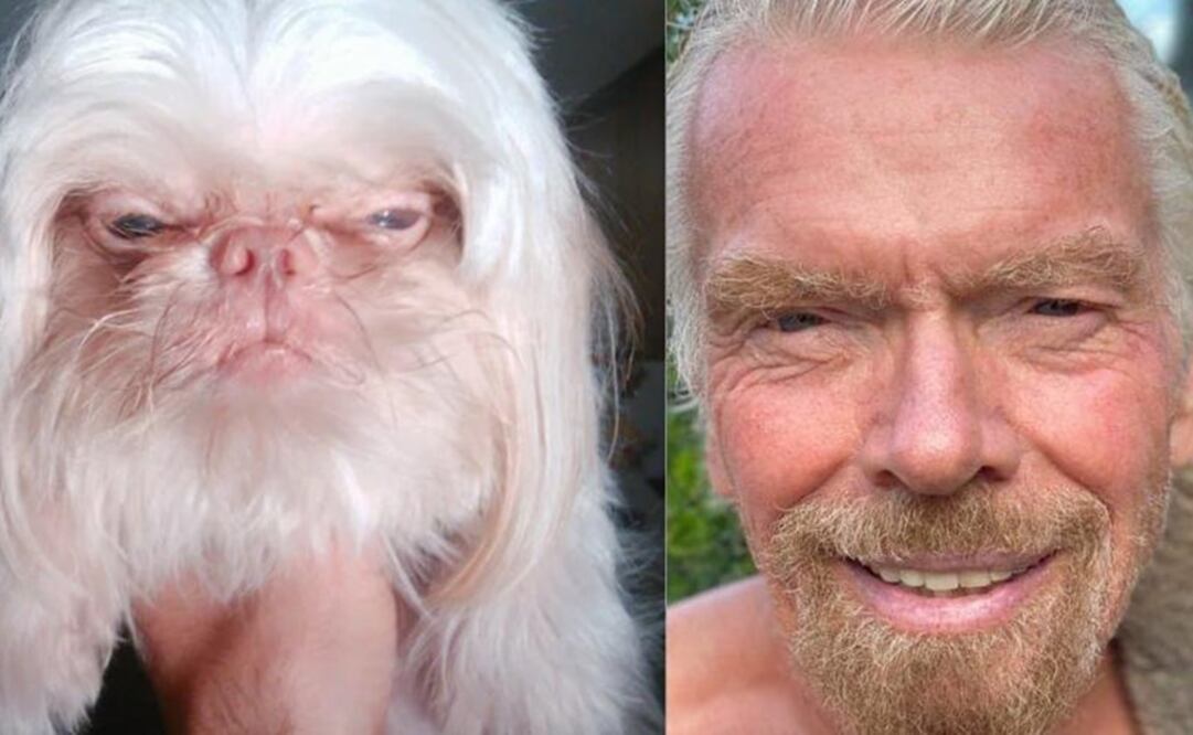 Richard Branson y el perro viral de 'Reddit'. Foto: Reddit: kavien / Instagram: @richardbranson